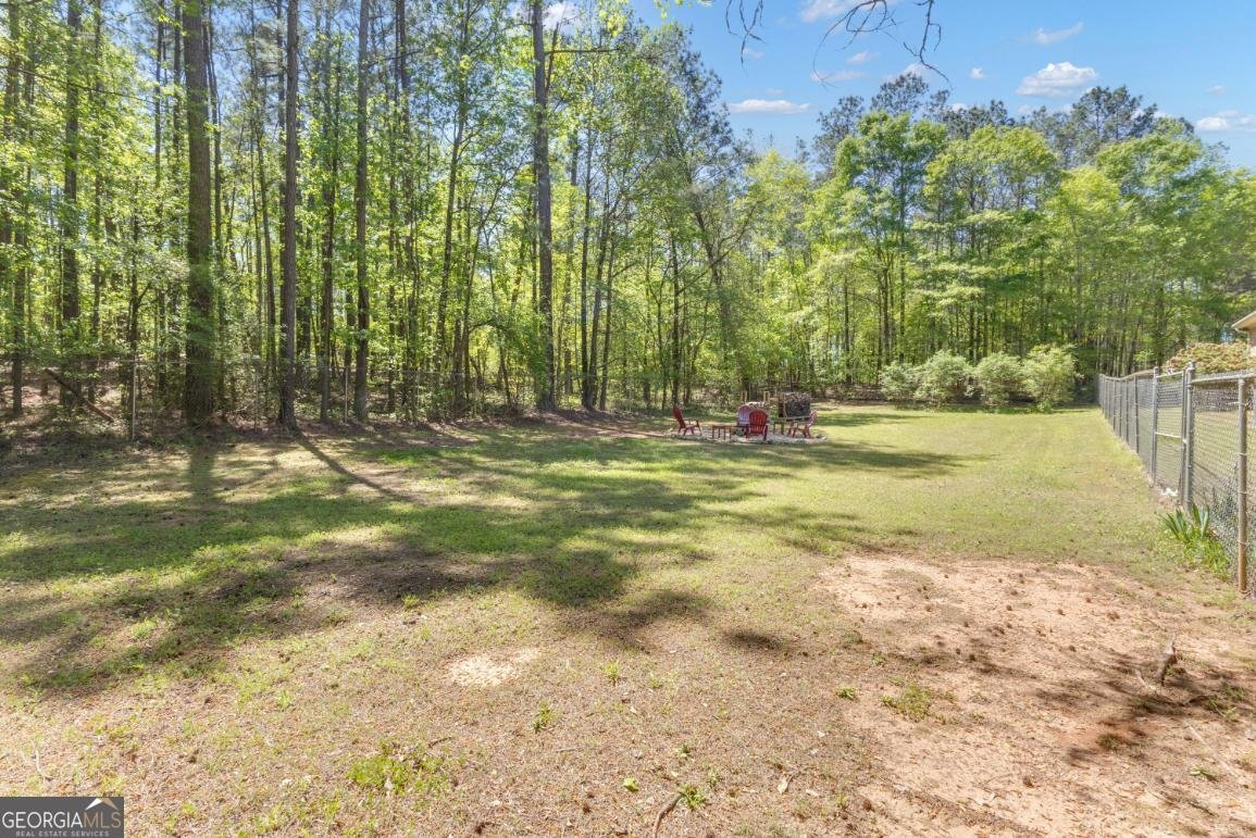 130 Sam Solomon Road Locust Grove - Photo 66