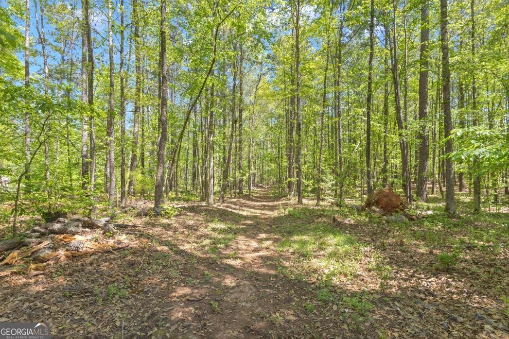 130 Sam Solomon Road Locust Grove - Photo 70