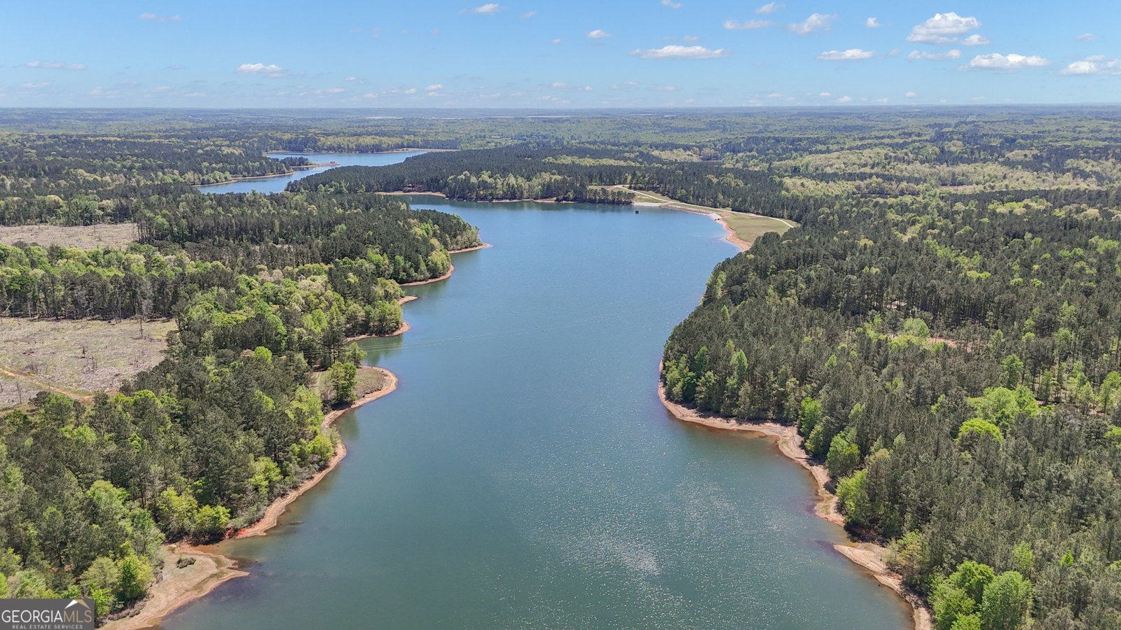 130 Sam Solomon Road Locust Grove - Photo 88