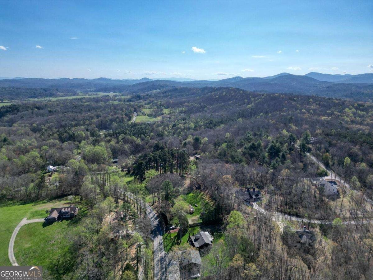 9674 Old Hwy 76 Morganton - Photo 43