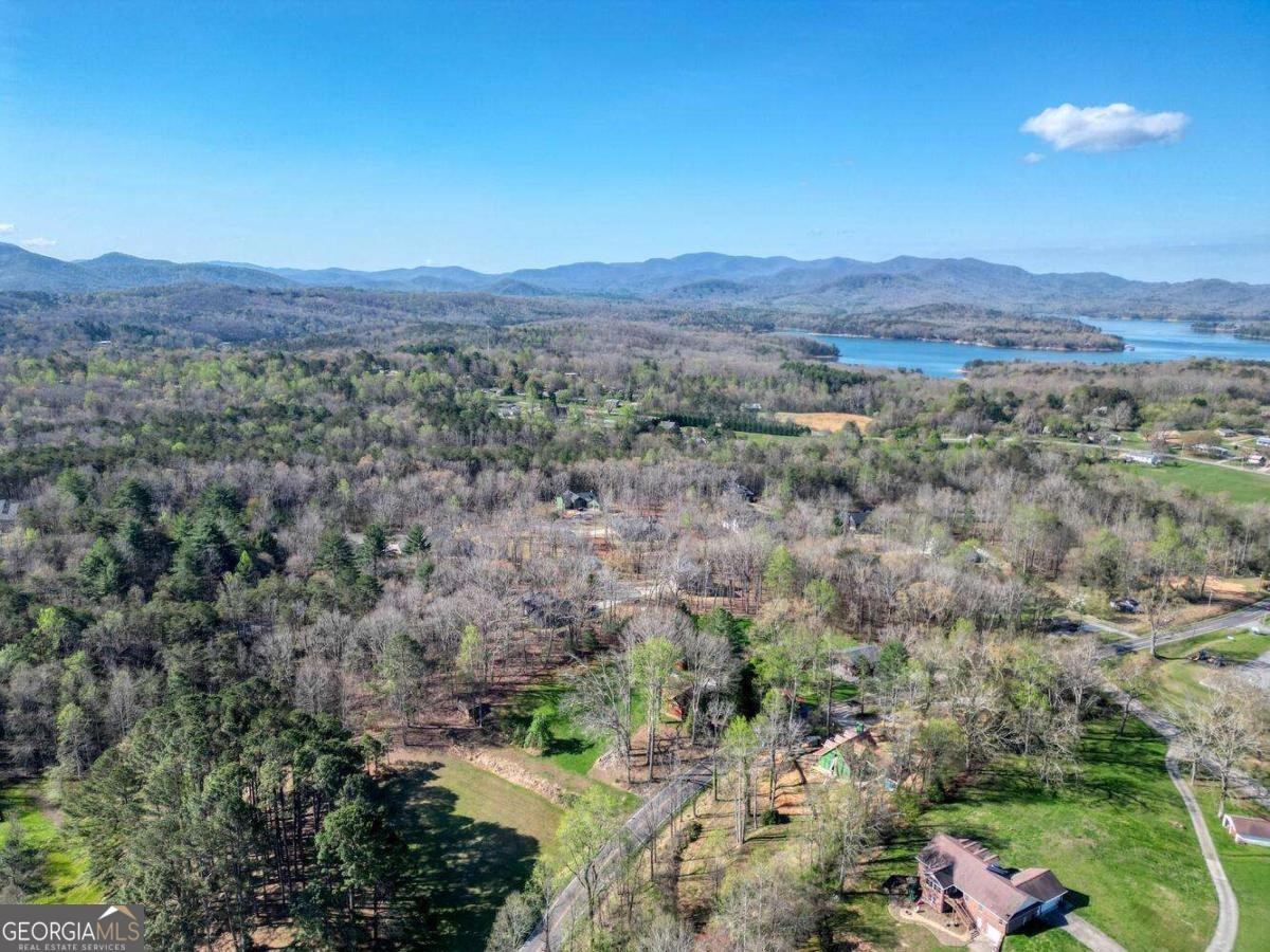 9674 Old Hwy 76 Morganton - Photo 44