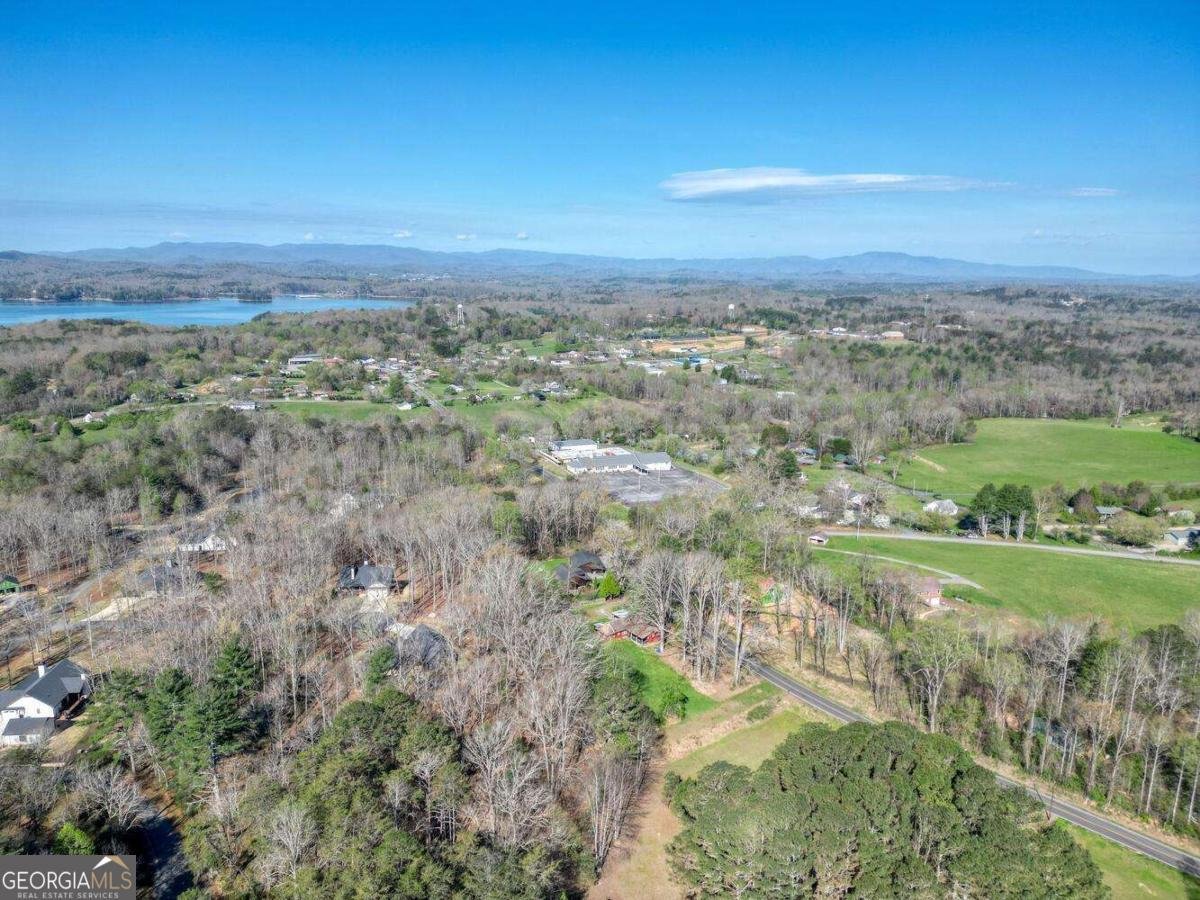 9674 Old Hwy 76 Morganton - Photo 45