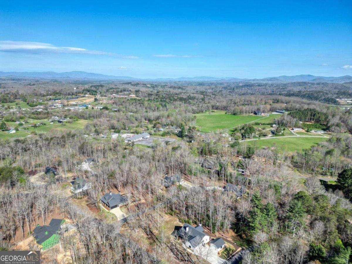 9674 Old Hwy 76 Morganton - Photo 46