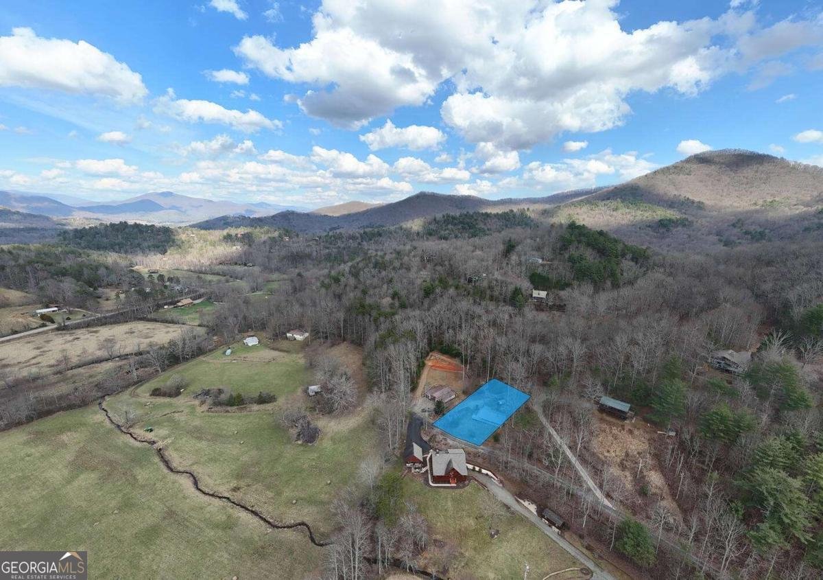 240 Ruby Lake Drive N Hiawassee - Photo 46