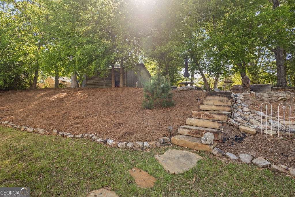 99 Middle Street Senoia - Photo 33