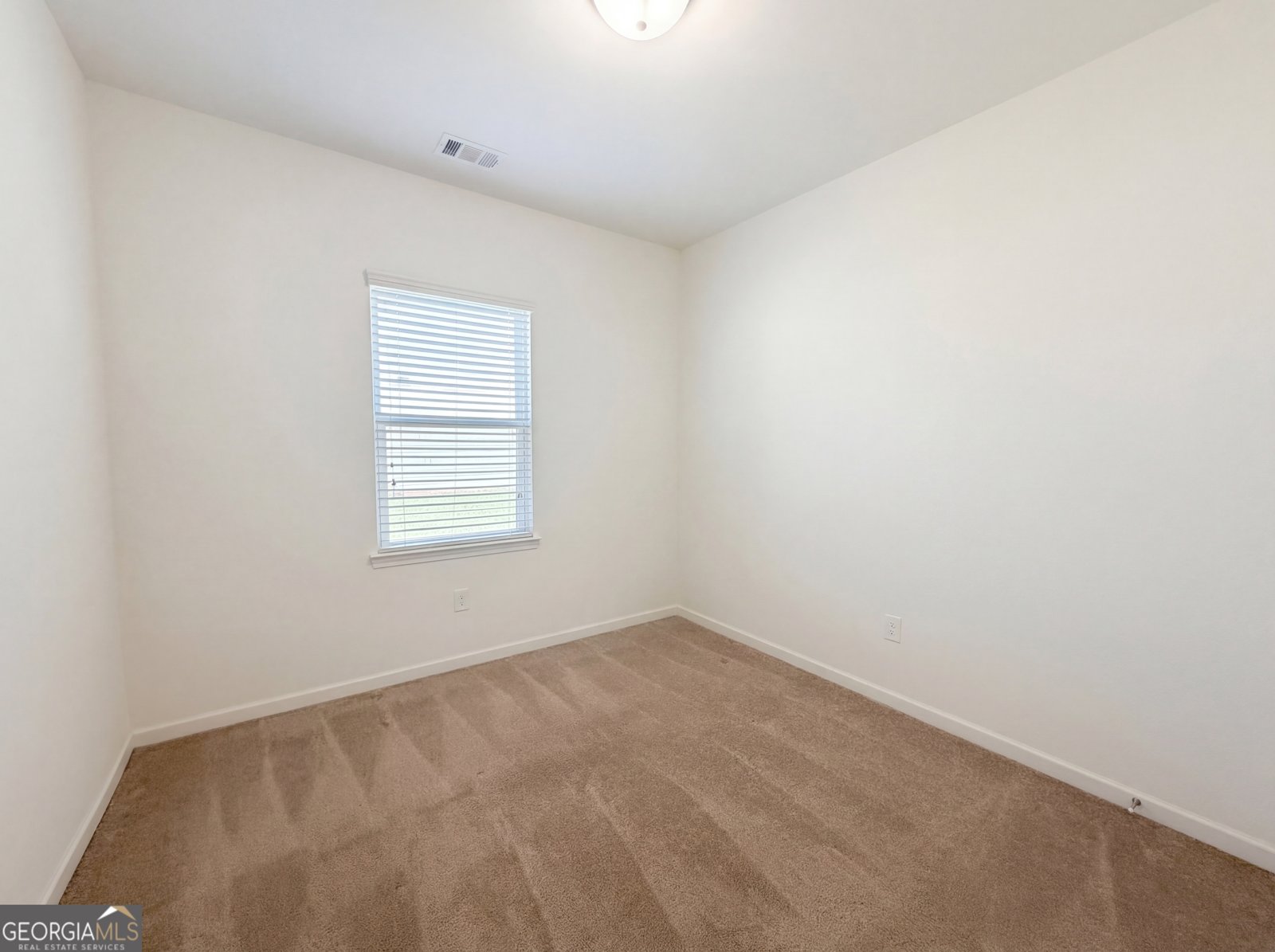 12 Whiskery Way Cartersville - Photo 10