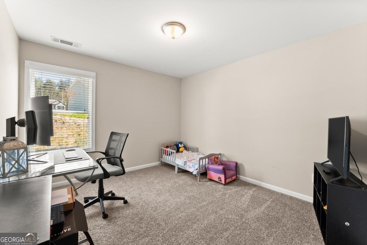 6579 River Station Drive Lula - Photo 29