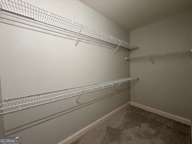 607 Black Hawk Lane Canton - Photo 23