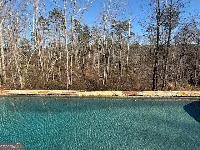 607 Black Hawk Lane Canton - Photo 52