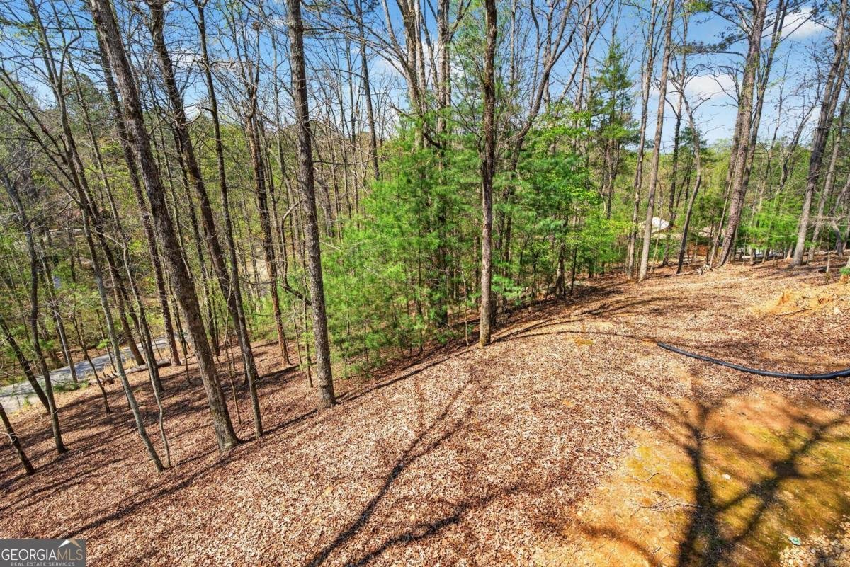 1858 Newport Drive Ellijay - Photo 39