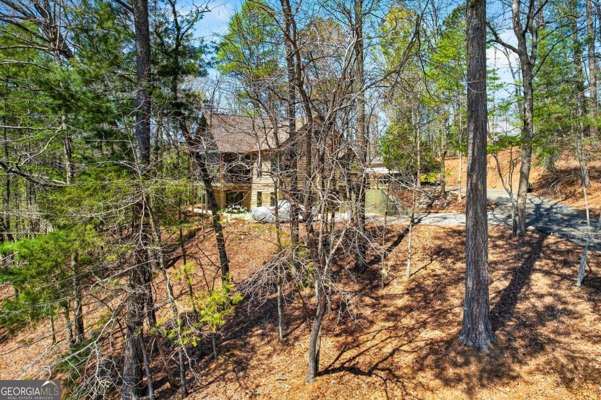 1858 Newport Drive Ellijay - Photo 40