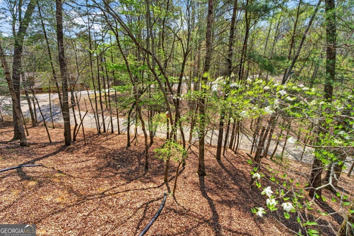 1858 Newport Drive Ellijay - Photo 42