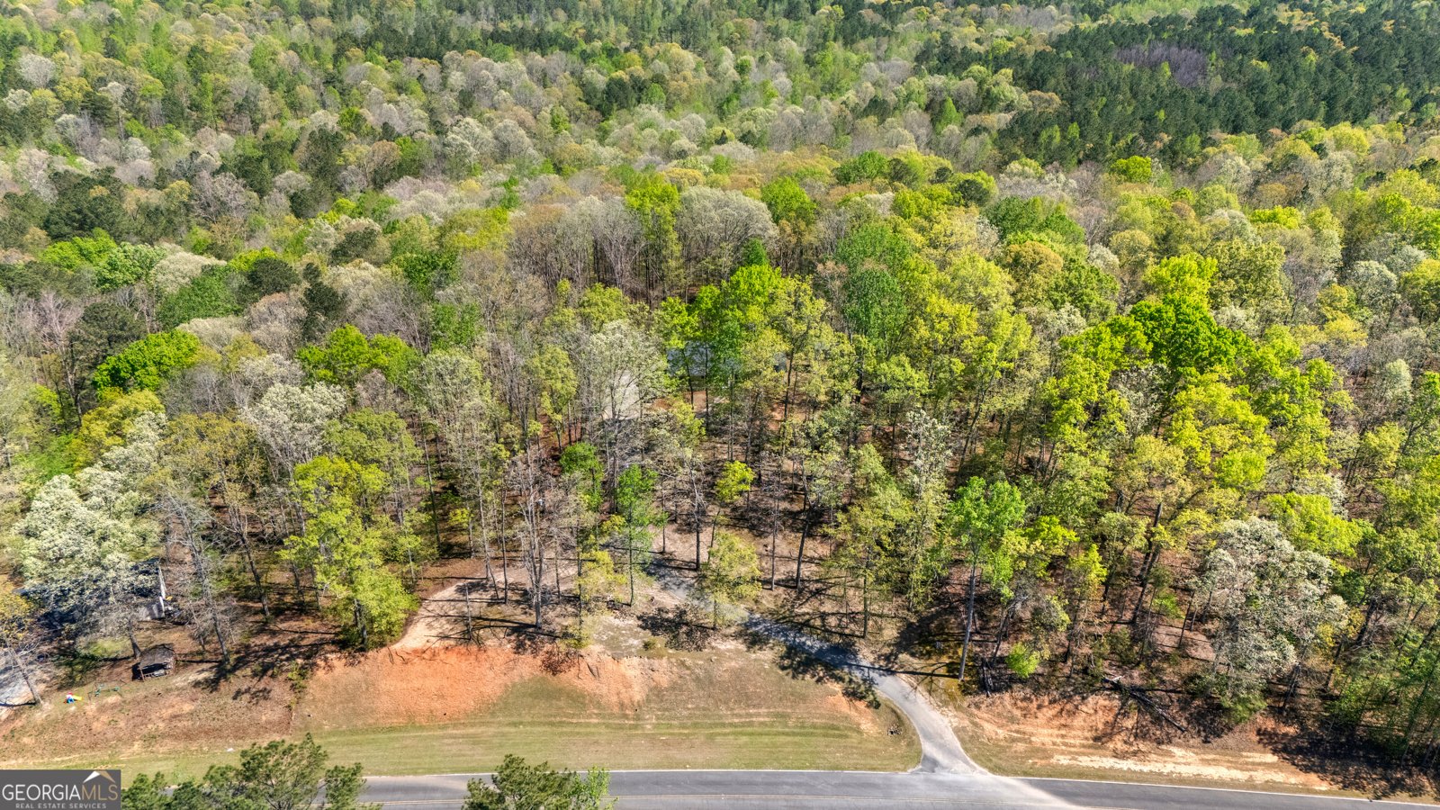 4950 Creel Road Chattahoochee Hills - Photo 49