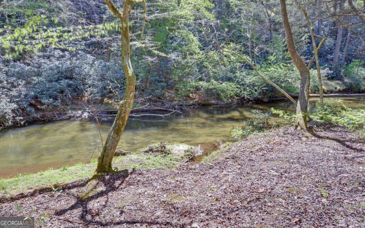 380 Bear Foot Drive Blue Ridge - Photo 40