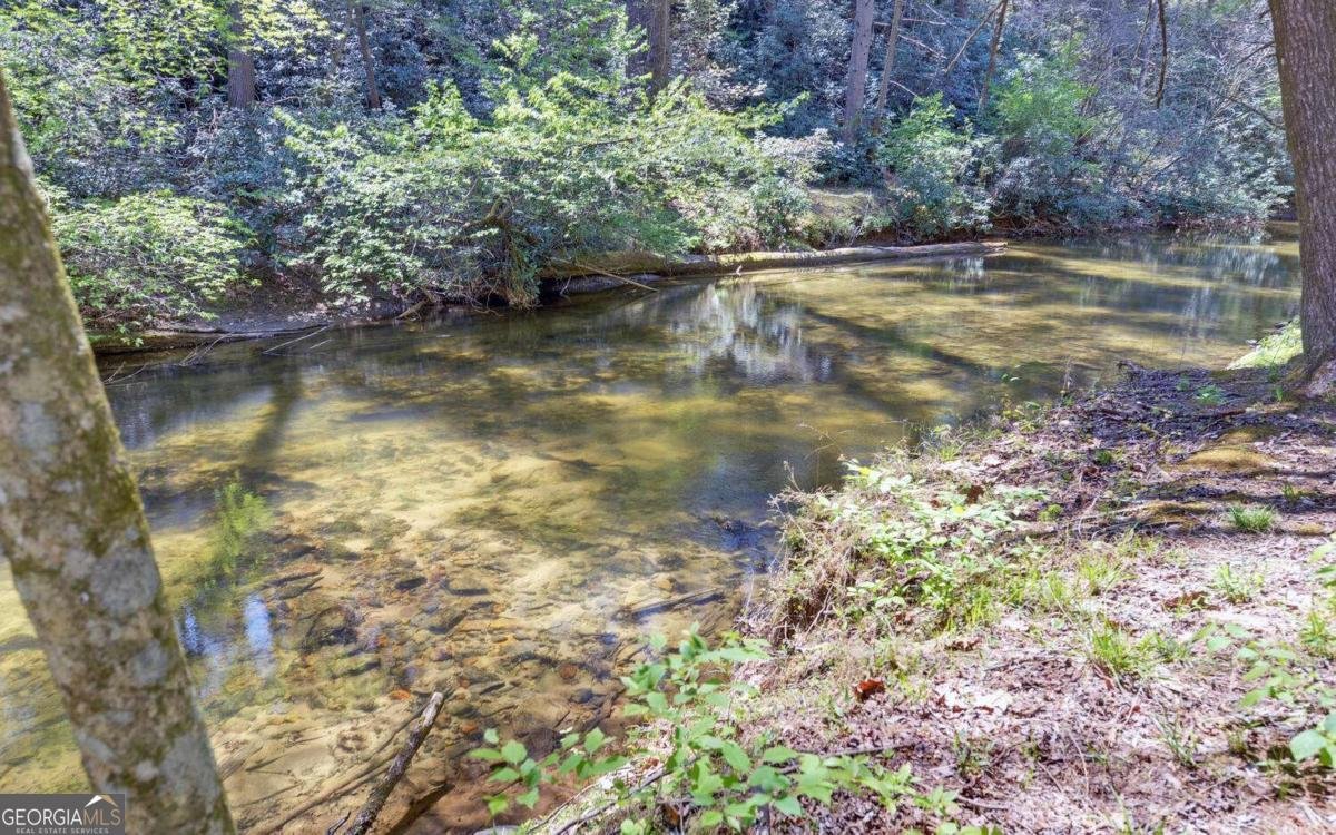 380 Bear Foot Drive Blue Ridge - Photo 41