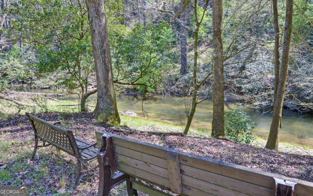 380 Bear Foot Drive Blue Ridge - Photo 42