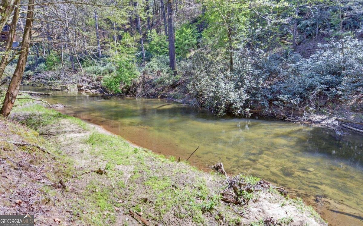 380 Bear Foot Drive Blue Ridge - Photo 43