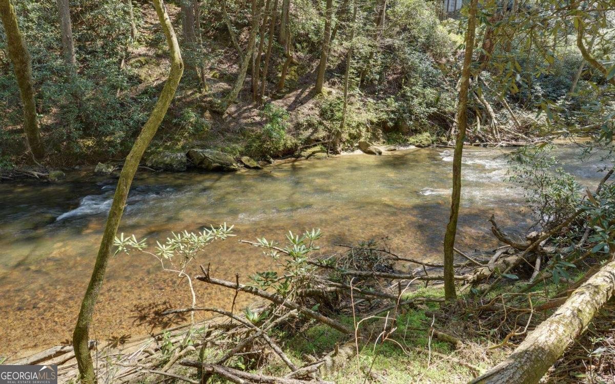 380 Bear Foot Drive Blue Ridge - Photo 44