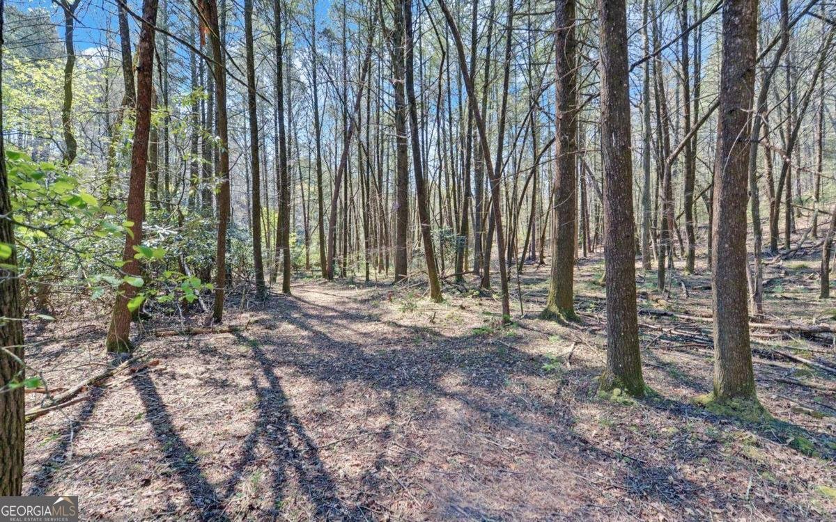 380 Bear Foot Drive Blue Ridge - Photo 46