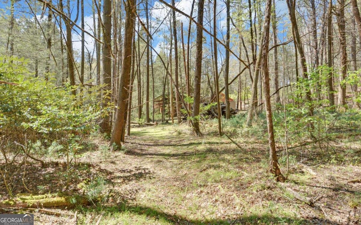 380 Bear Foot Drive Blue Ridge - Photo 47