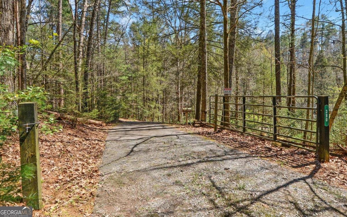 380 Bear Foot Drive Blue Ridge - Photo 48