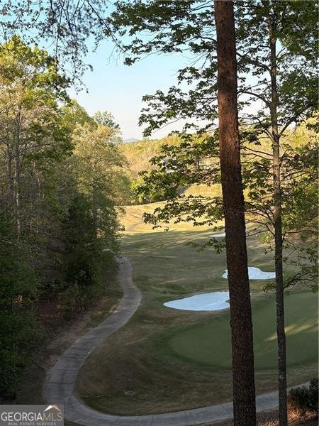 447 Night Fire Drive Dawsonville - Photo 38