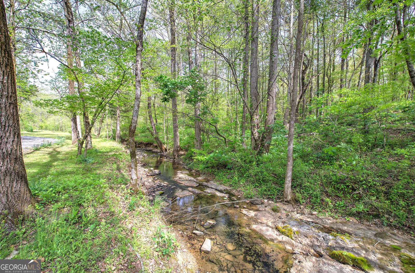 613 Hall Station Road Kingston - Photo 76