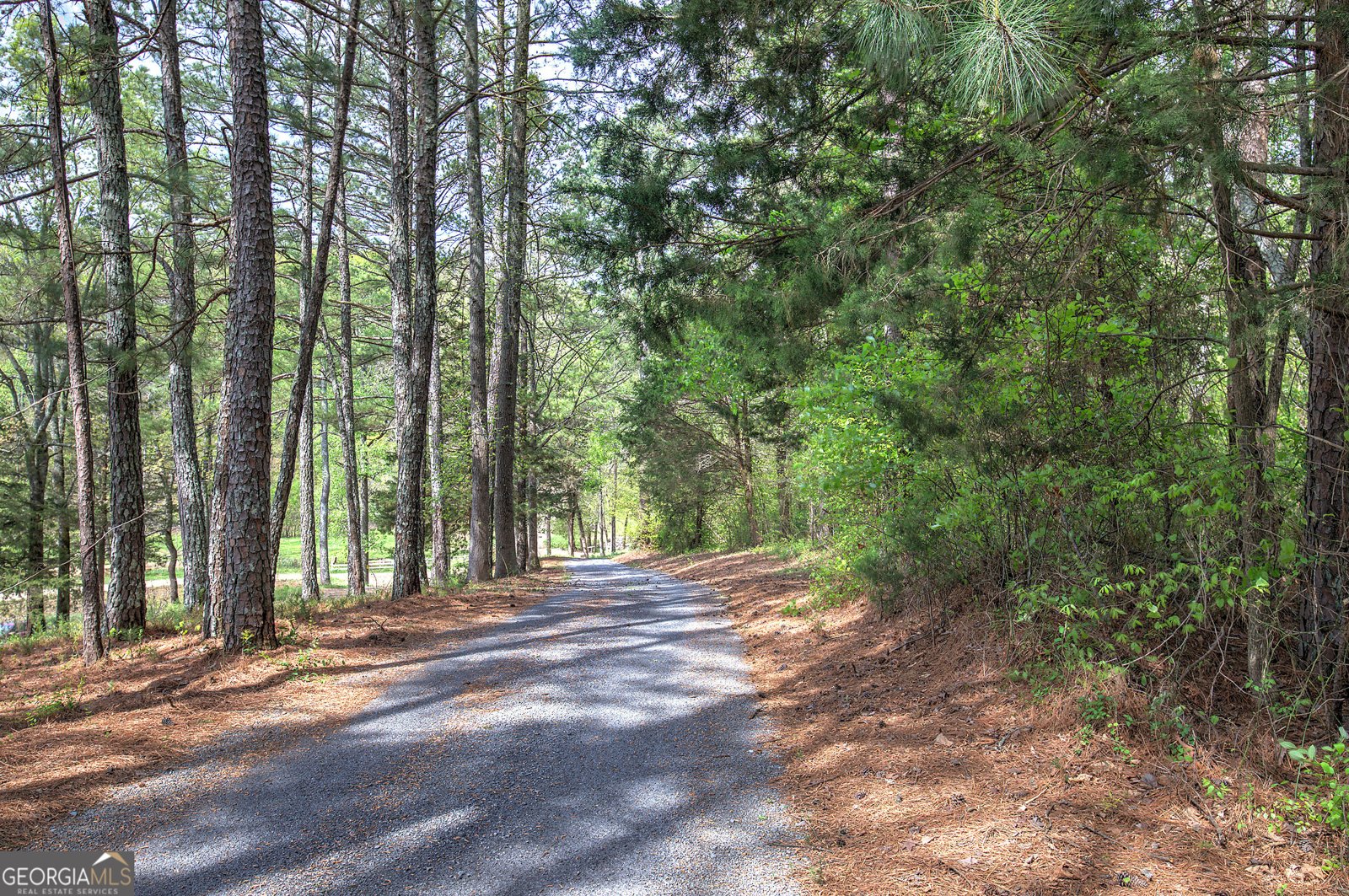 613 Hall Station Road Kingston - Photo 79