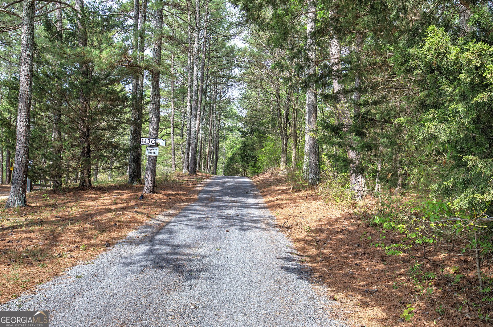 613 Hall Station Road Kingston - Photo 80