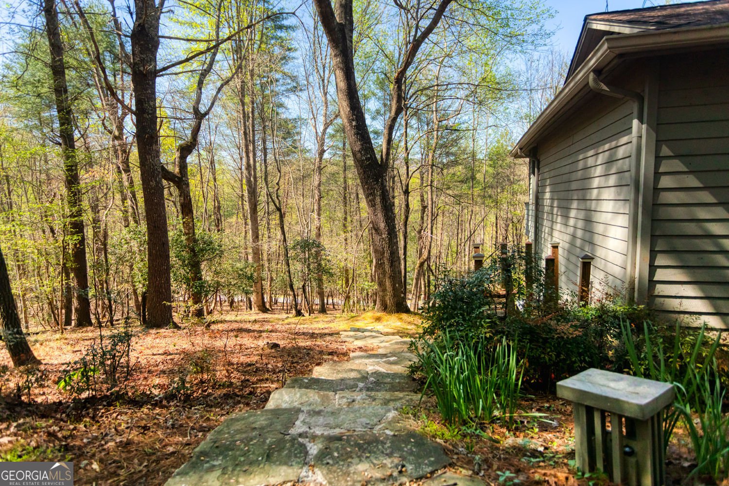 70 Doe Run Sautee Nacoochee - Photo 13