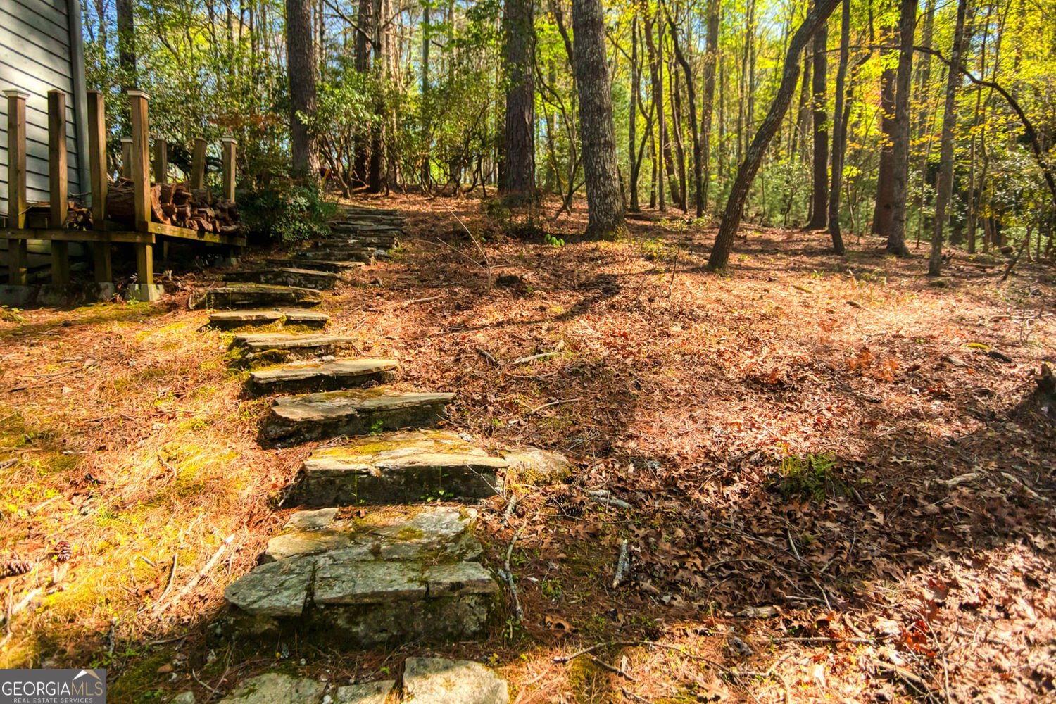 70 Doe Run Sautee Nacoochee - Photo 14