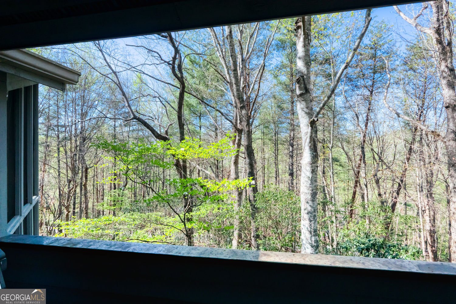 70 Doe Run Sautee Nacoochee - Photo 45