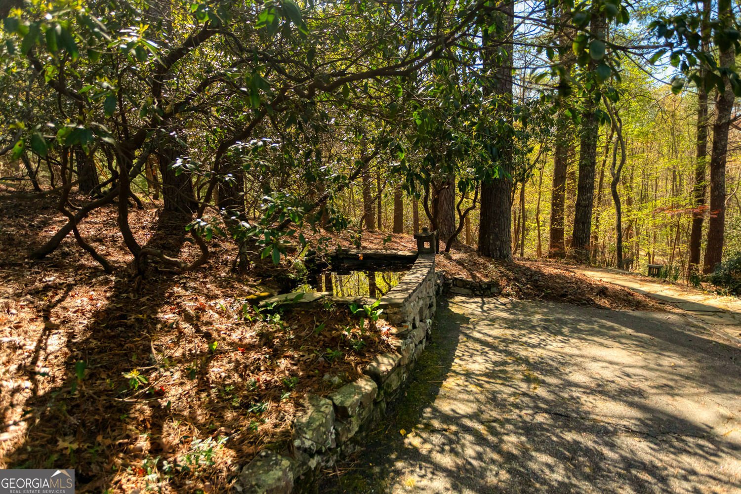 70 Doe Run Sautee Nacoochee - Photo 9