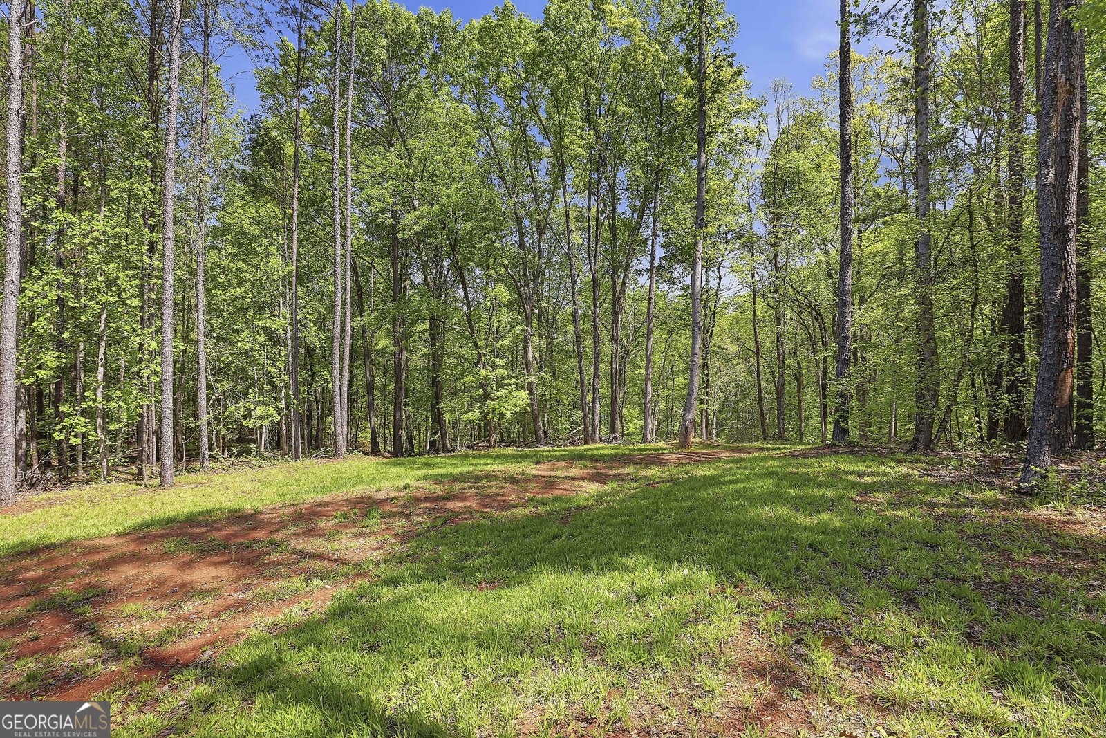 159 Wolf Creek Cove LaGrange - Photo 55