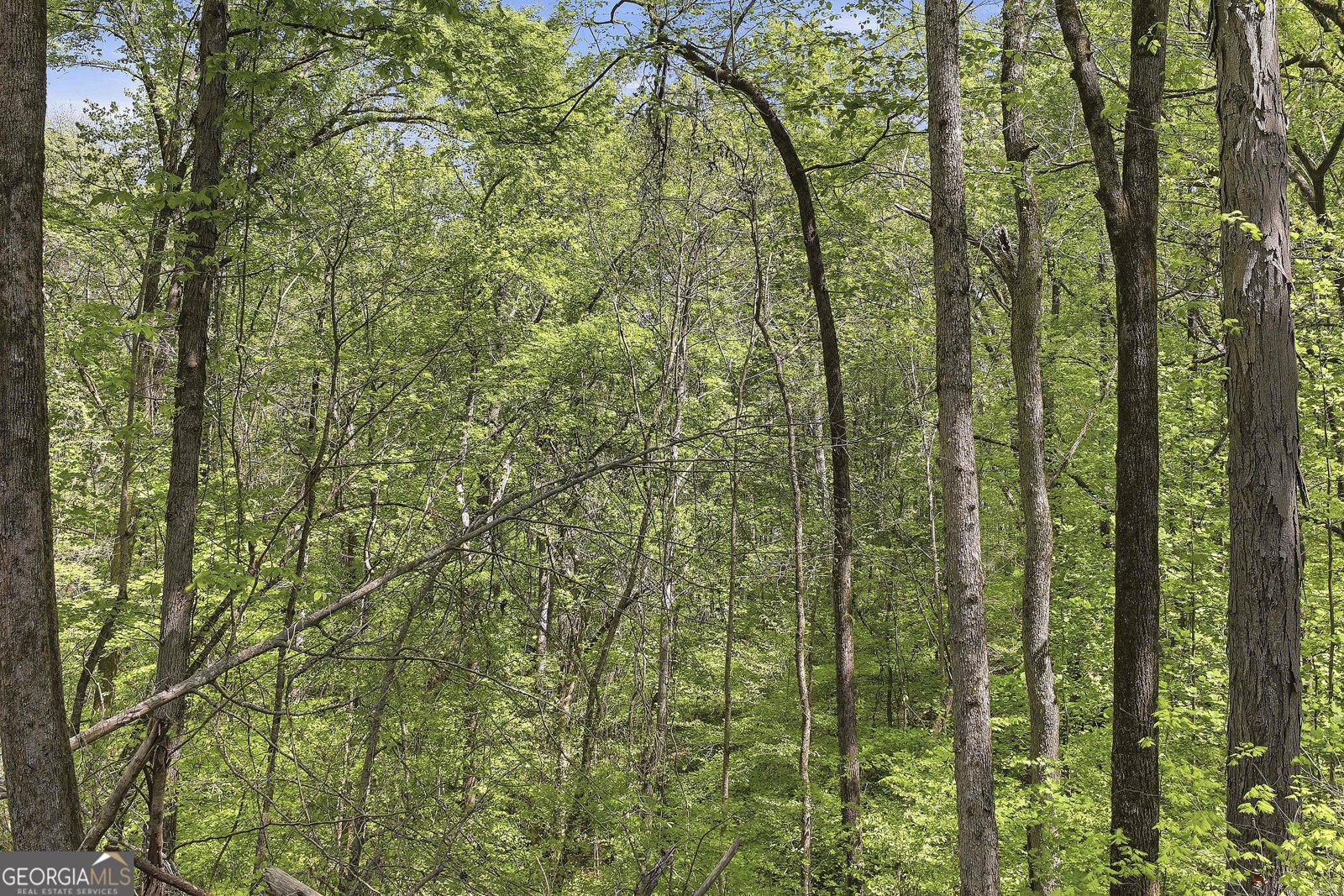 159 Wolf Creek Cove LaGrange - Photo 57