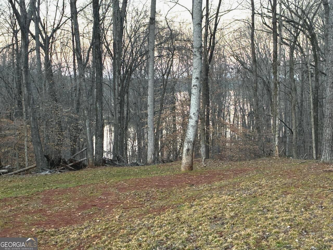 159 Wolf Creek Cove LaGrange - Photo 78