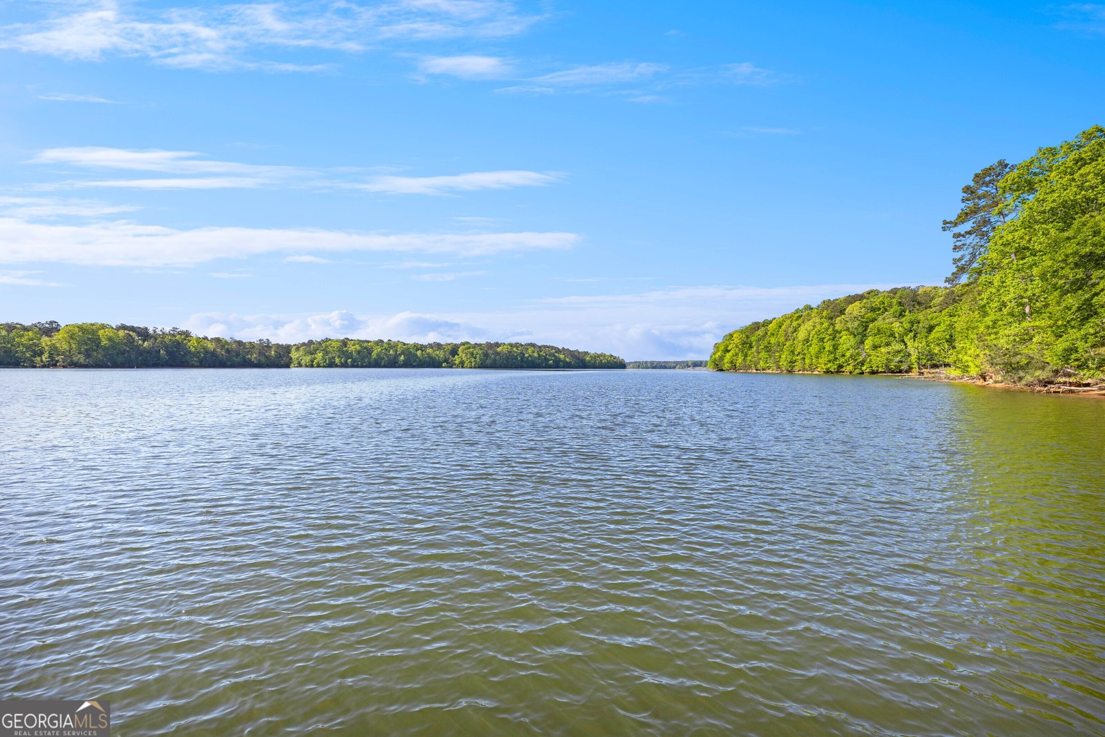 159 Wolf Creek Cove LaGrange - Photo 90