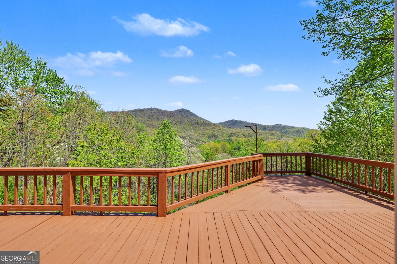 542 Eastern Cross Lane Clayton - Photo 43