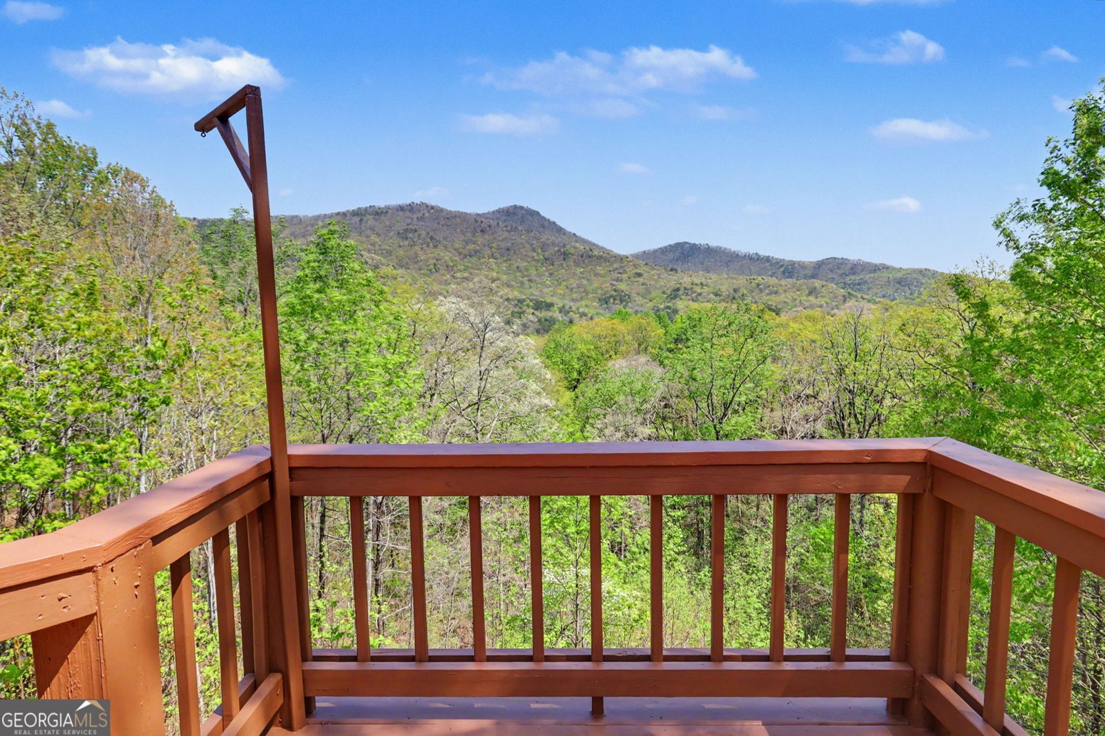 542 Eastern Cross Lane Clayton - Photo 44