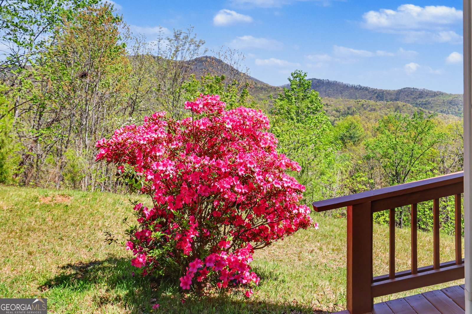 542 Eastern Cross Lane Clayton - Photo 58