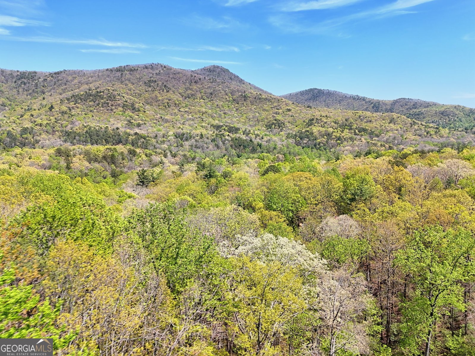 542 Eastern Cross Lane Clayton - Photo 63