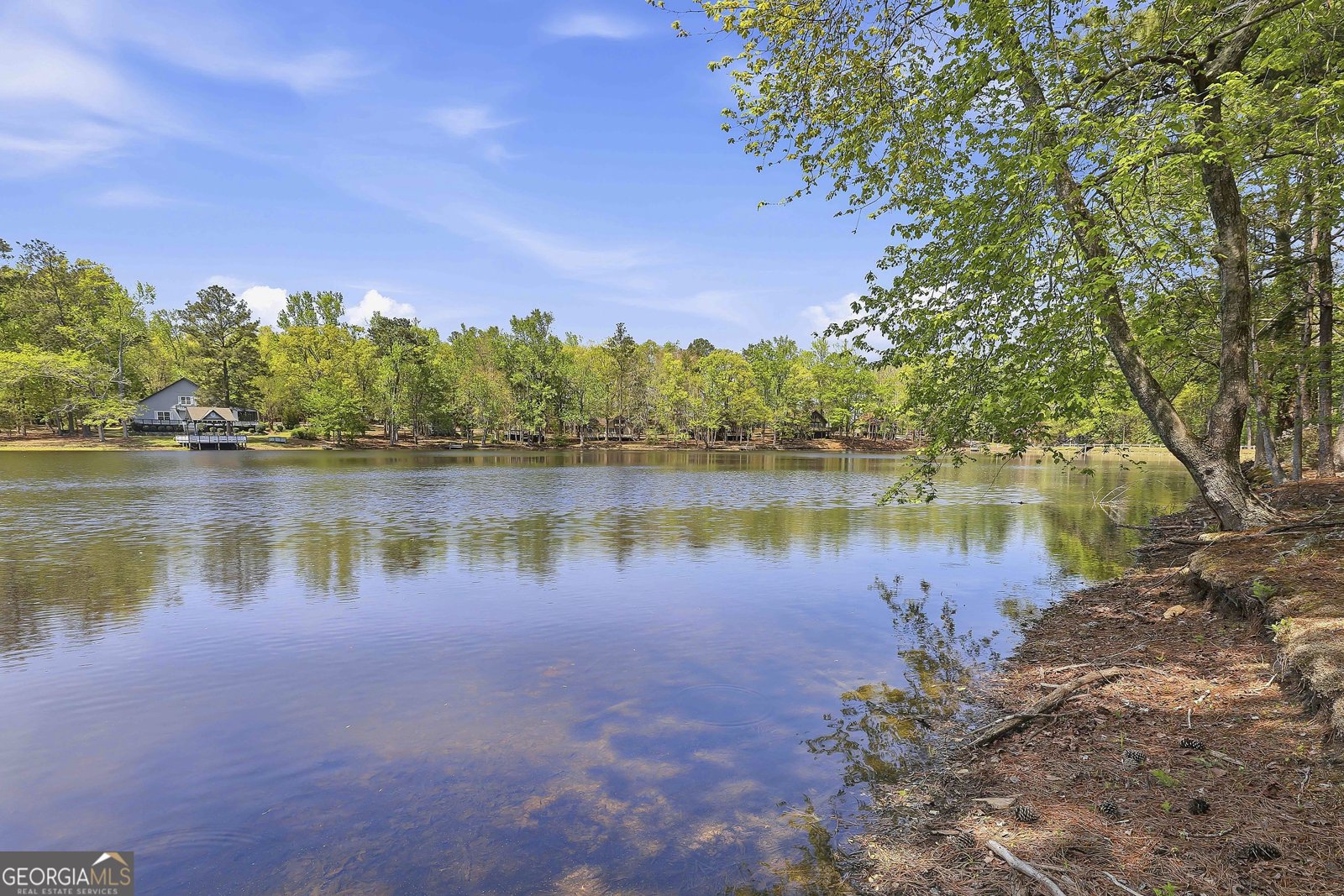 80 St. Moritz Drive Pine Mountain - Photo 33