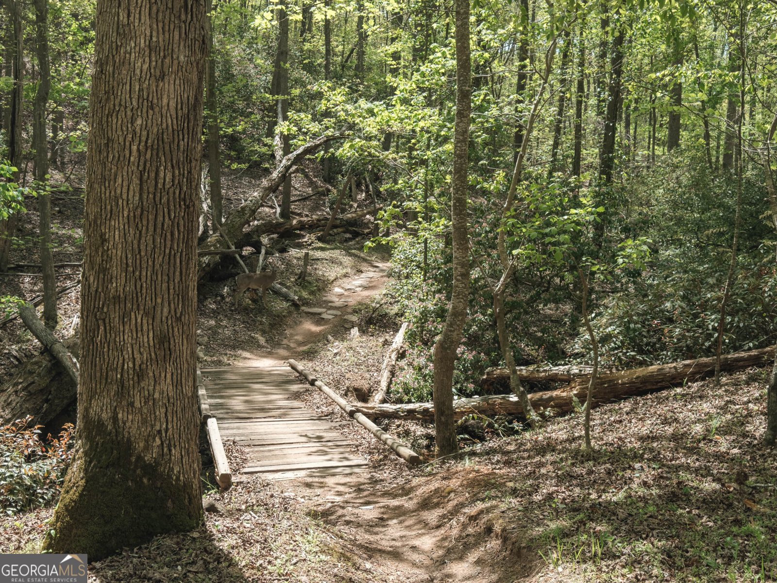 5284 Magnolia Grove Way Gainesville - Photo 28