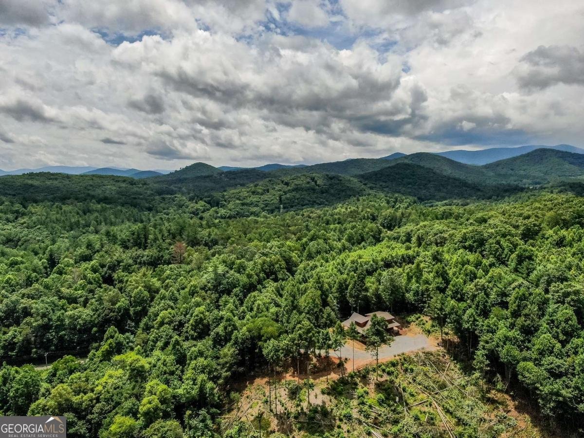 136 Pack Creek Road Blue Ridge - Photo 13