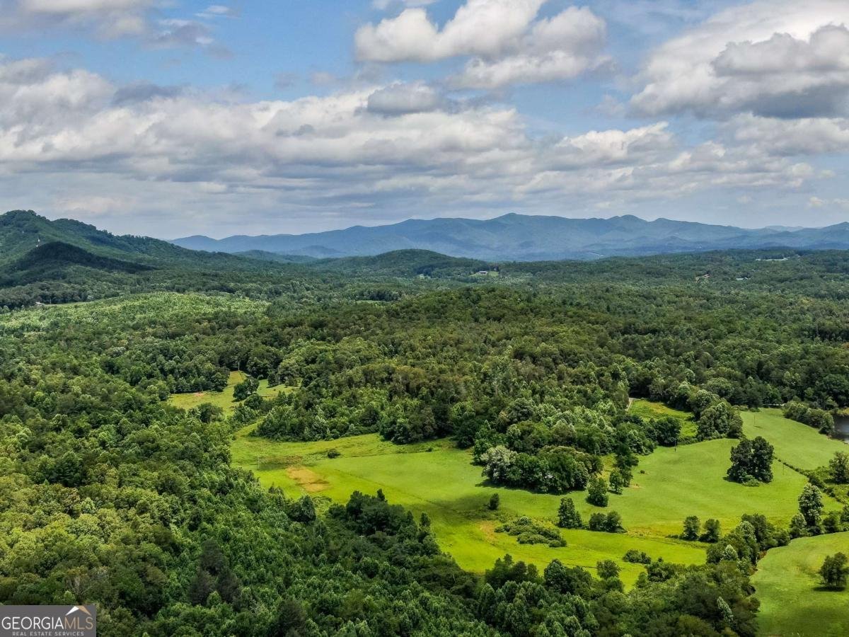 136 Pack Creek Road Blue Ridge - Photo 16