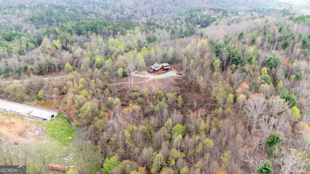 136 Pack Creek Road Blue Ridge - Photo 17