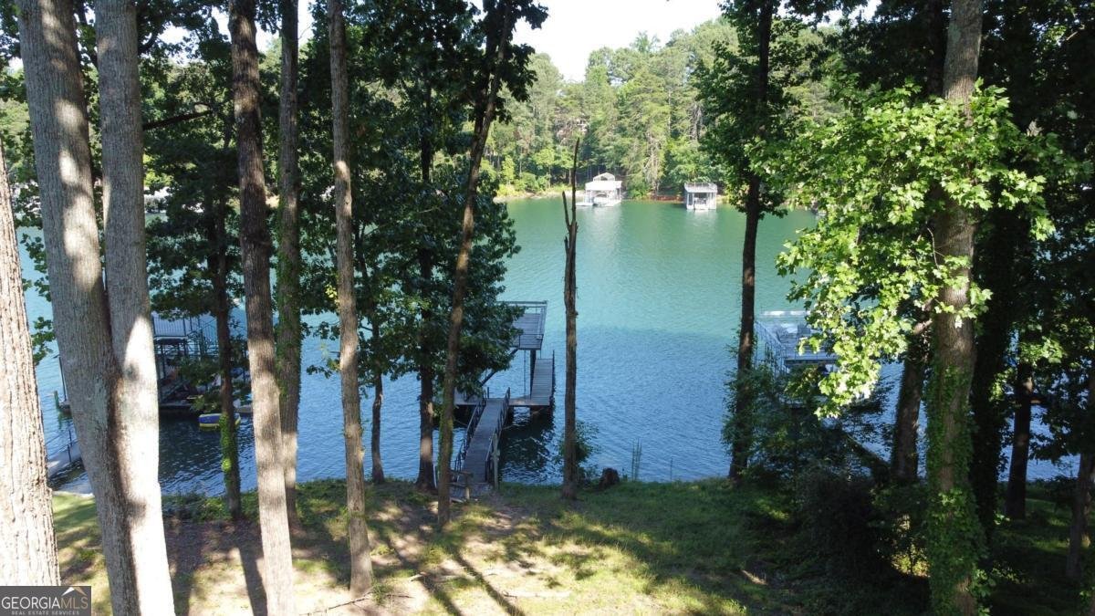 6337 Lakeview Drive Buford - Photo 44