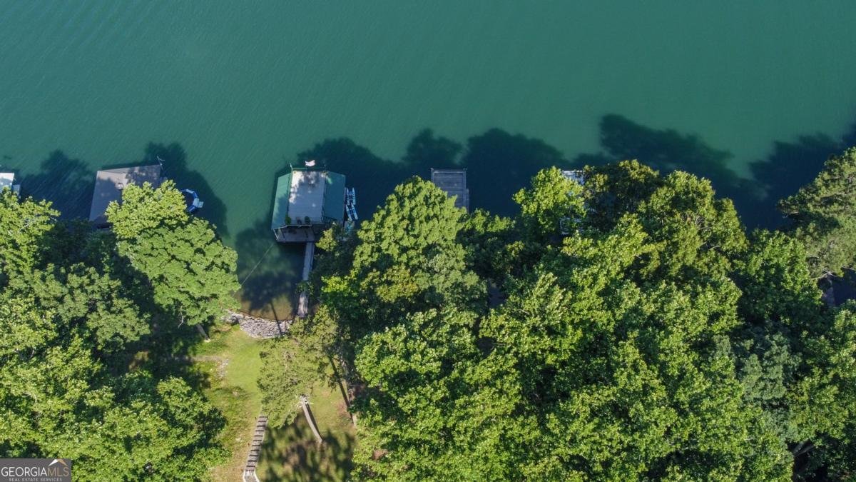 6337 Lakeview Drive Buford - Photo 50