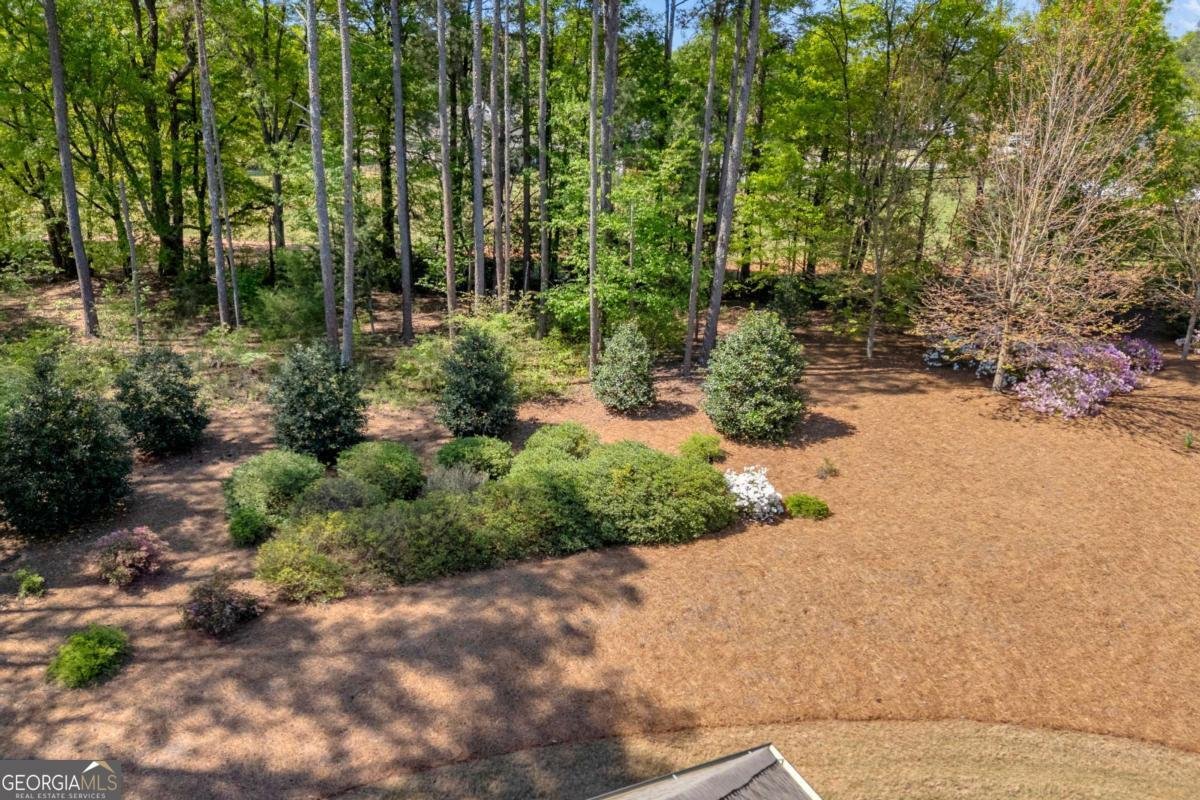 1721 Cambridge Square Watkinsville - Photo 49