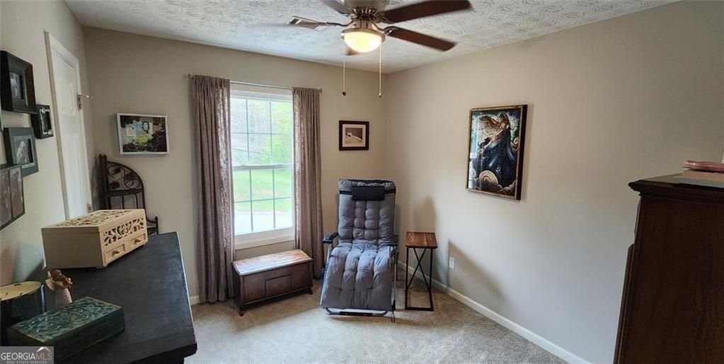 5564 Elderberry Lane Flowery Branch - Photo 18